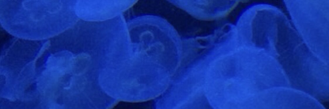 et86rmvo's profile banner image