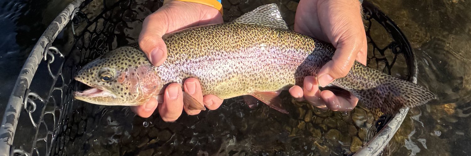 AJ Ruffing™ banner