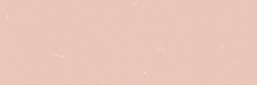 Alisonnn_13's profile banner image