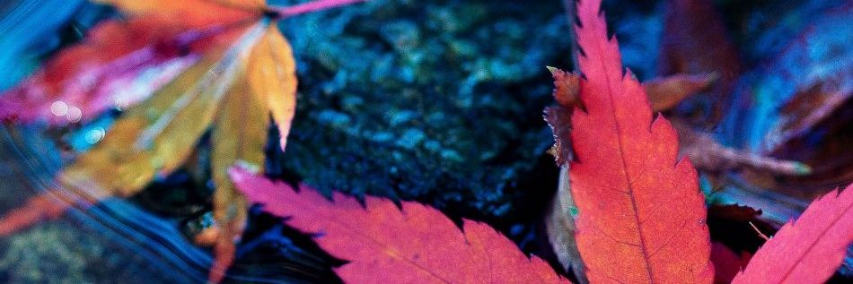 akemsaje's profile banner image
