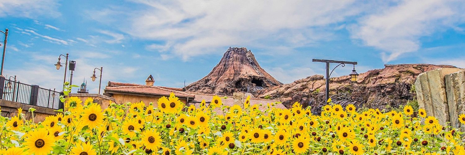 happinesyear's profile banner image
