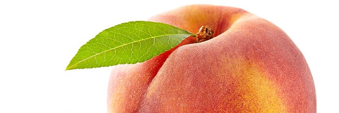 WheatStick's profile banner image