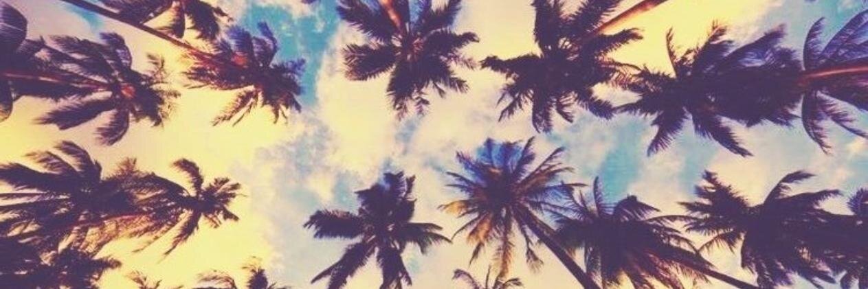 FromVAtoCA's profile banner image