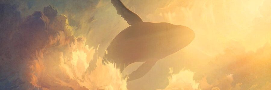 monstruo88's profile banner image