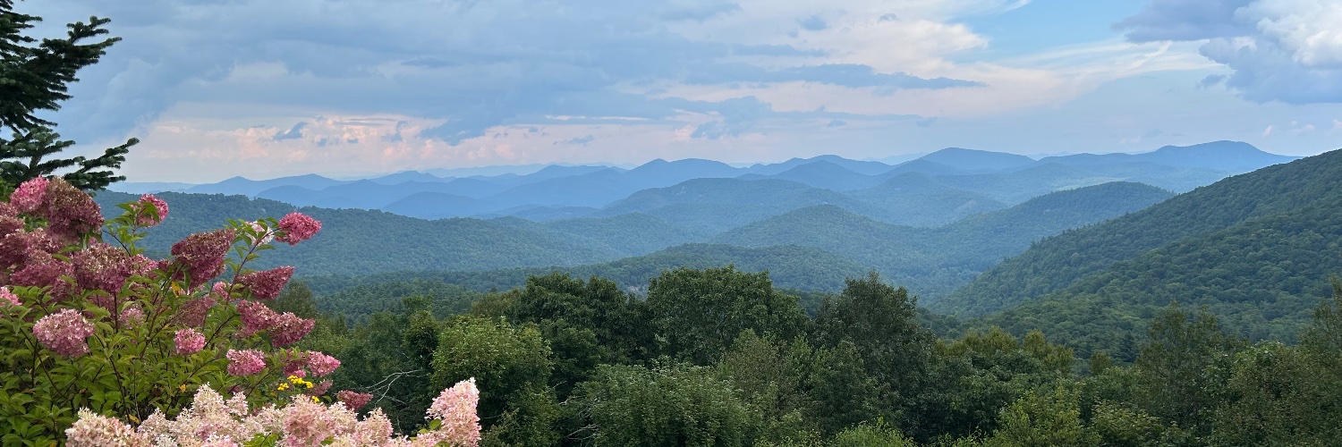 Alessandro Camp banner