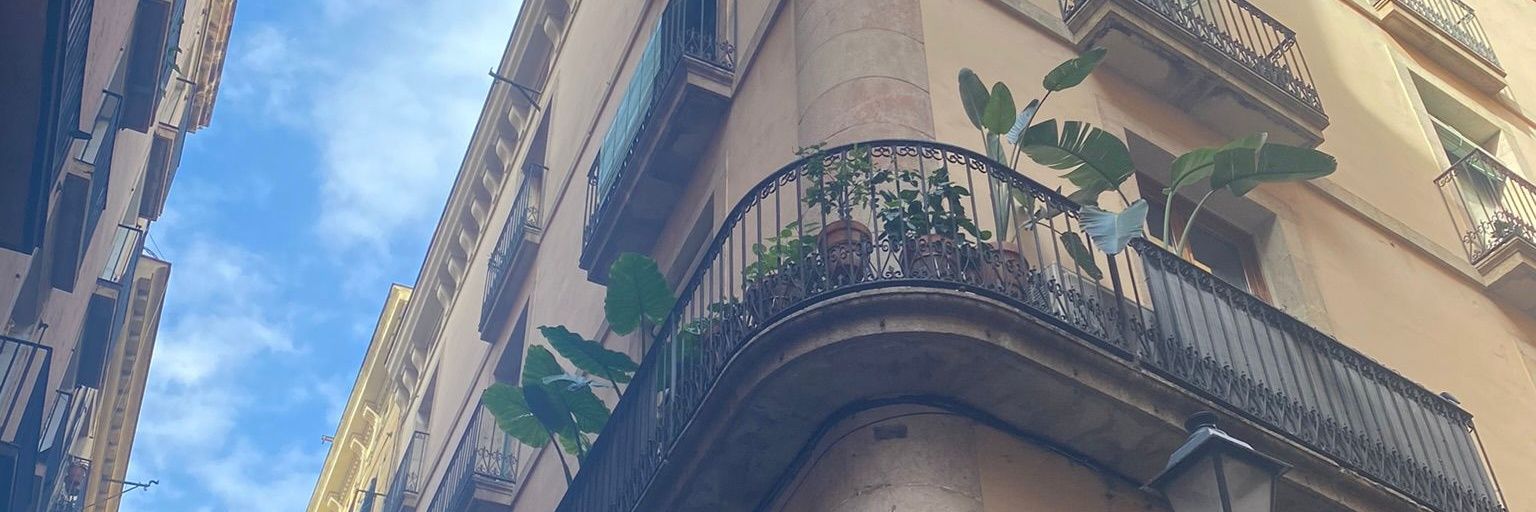 Camii__lu's profile banner image