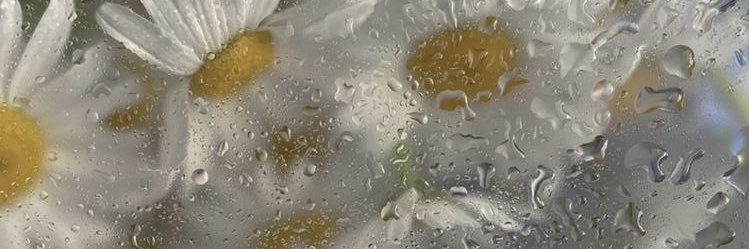 ゆゆ。@取引垢 banner