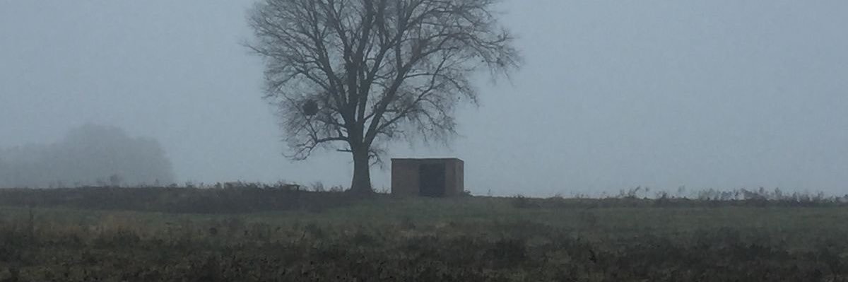 ✮ Eris/Miika✮ banner