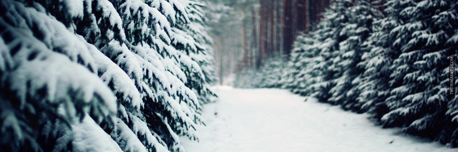 PenelopeFromm's profile banner image