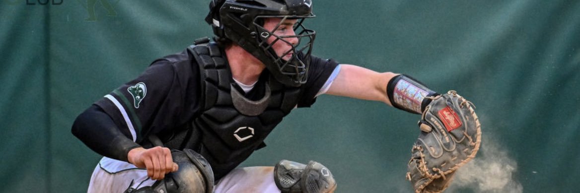 Levi Anderson banner