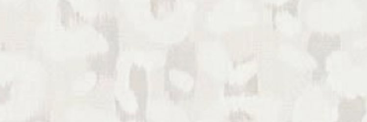 CassidyMcCoy7's profile banner image