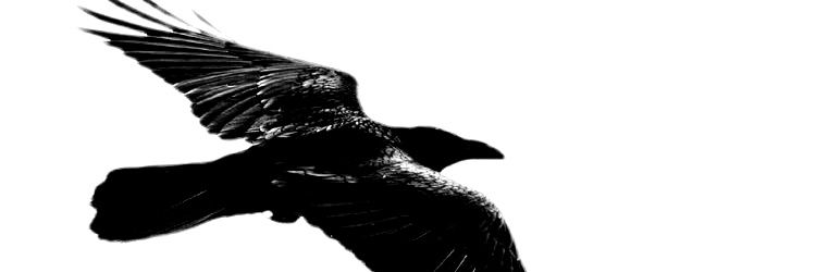 ArmedWithHonor's profile banner image