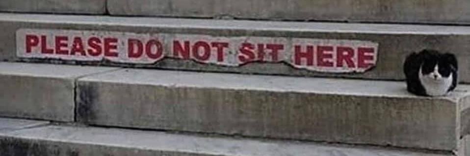 Electric Wizard banner