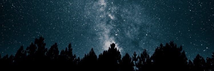 daliacgp's profile banner image
