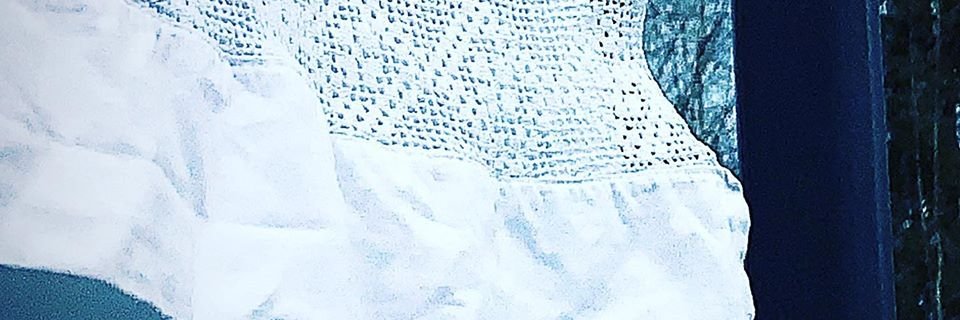 TainaBaxt's profile banner image
