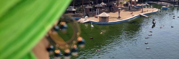 Hami_jon_aval Profile Banner