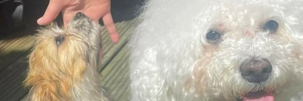 kcceleb Profile Banner