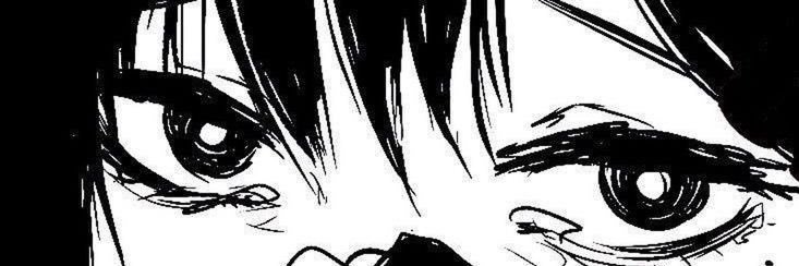 Laini banner