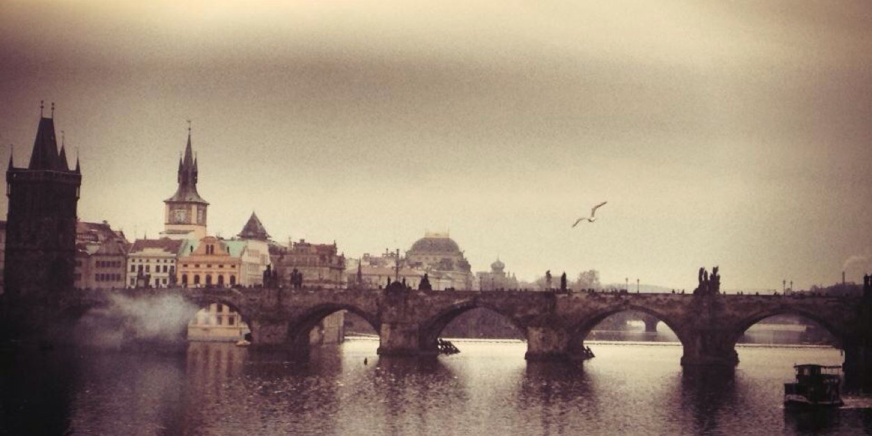 Catalina Cerquera-Cleves banner
