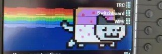 cherrycatarts's profile banner image