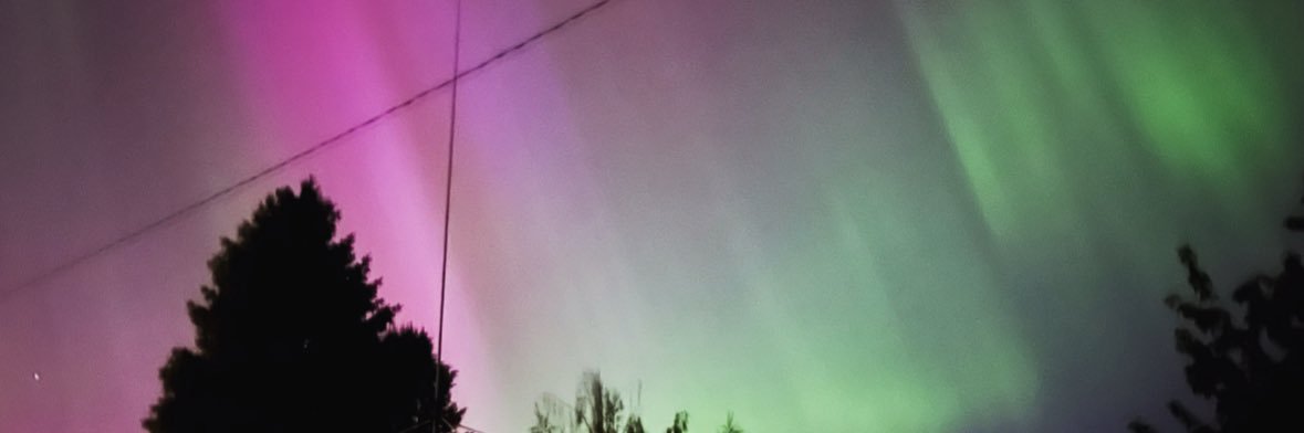 pnw Bae 🌲 🌙's banner
