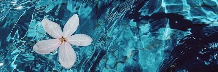 « 𝐏𝐨𝐫𝐮𝐦 » 『 𝘋𝘶𝘣𝘪𝘰𝘶𝘴 𝘚𝘮𝘪𝘭𝘦 』 banner