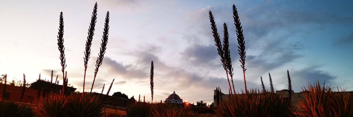 PauMandi's profile banner image