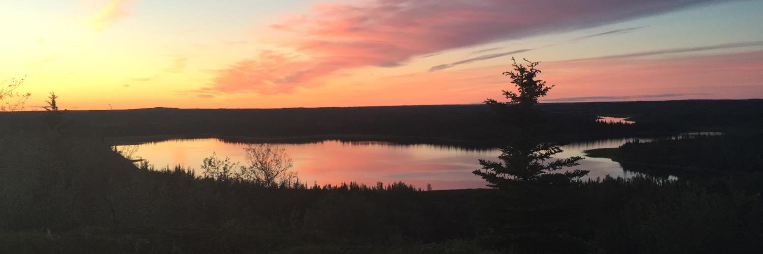 Archie McLean banner