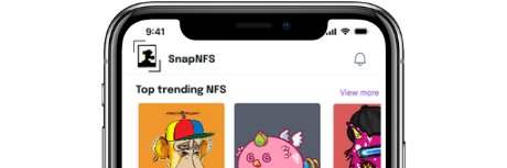SnapNFS banner