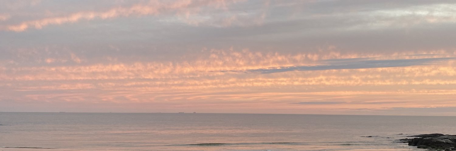 María Jesús Iglesias banner