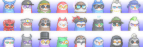 zk_birds Profile Banner