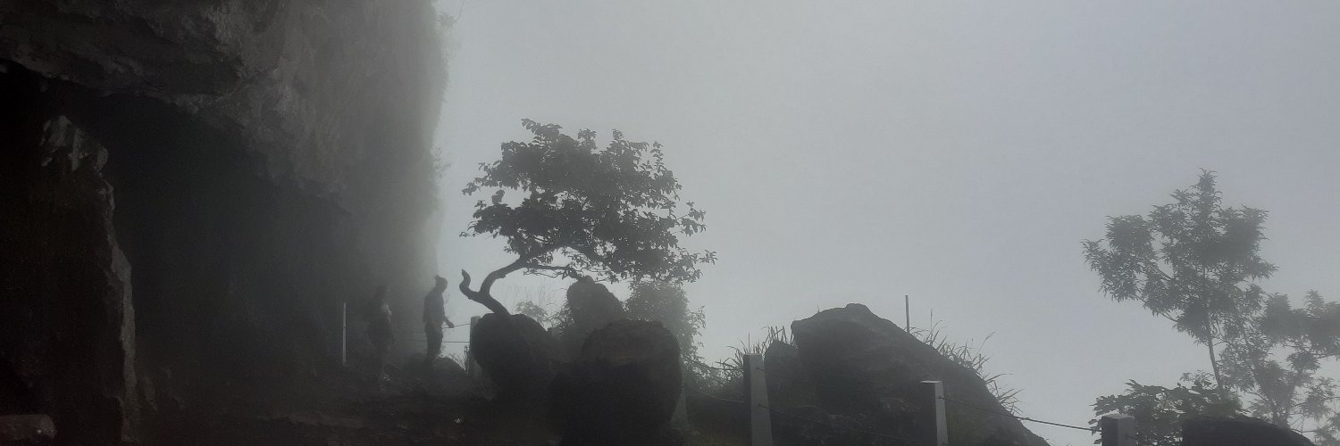 DonCriticas3's profile banner image
