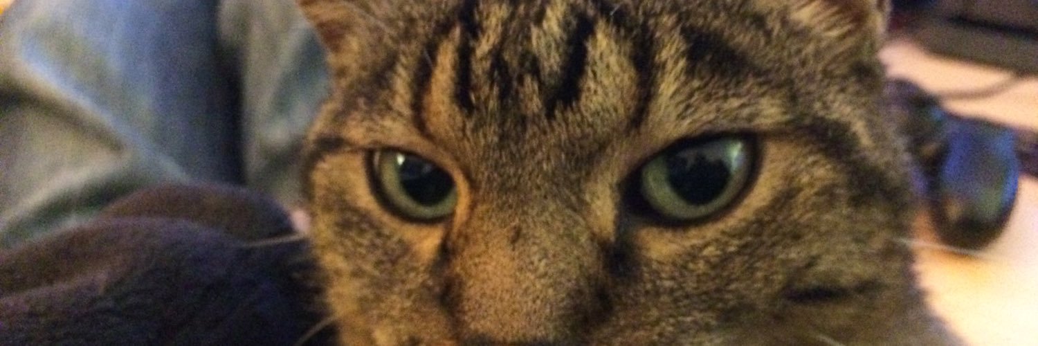 MagicDustbin's profile banner image
