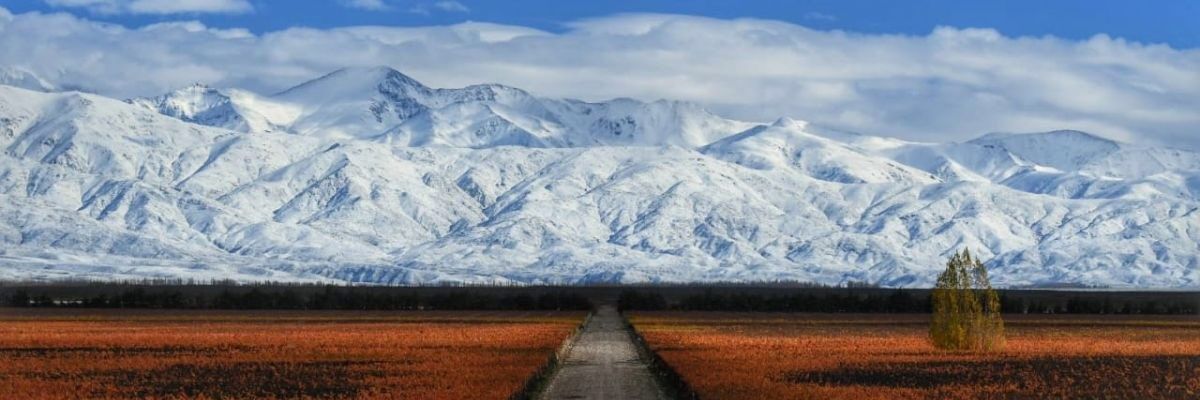 Jesucali's profile banner image