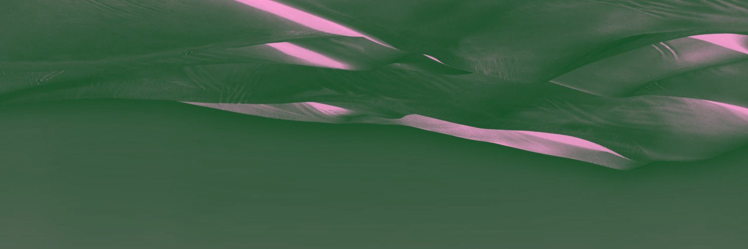 Rickyslash banner
