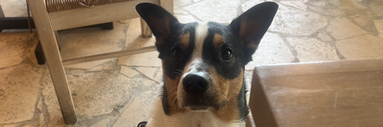 Shaine (shay-knee) banner