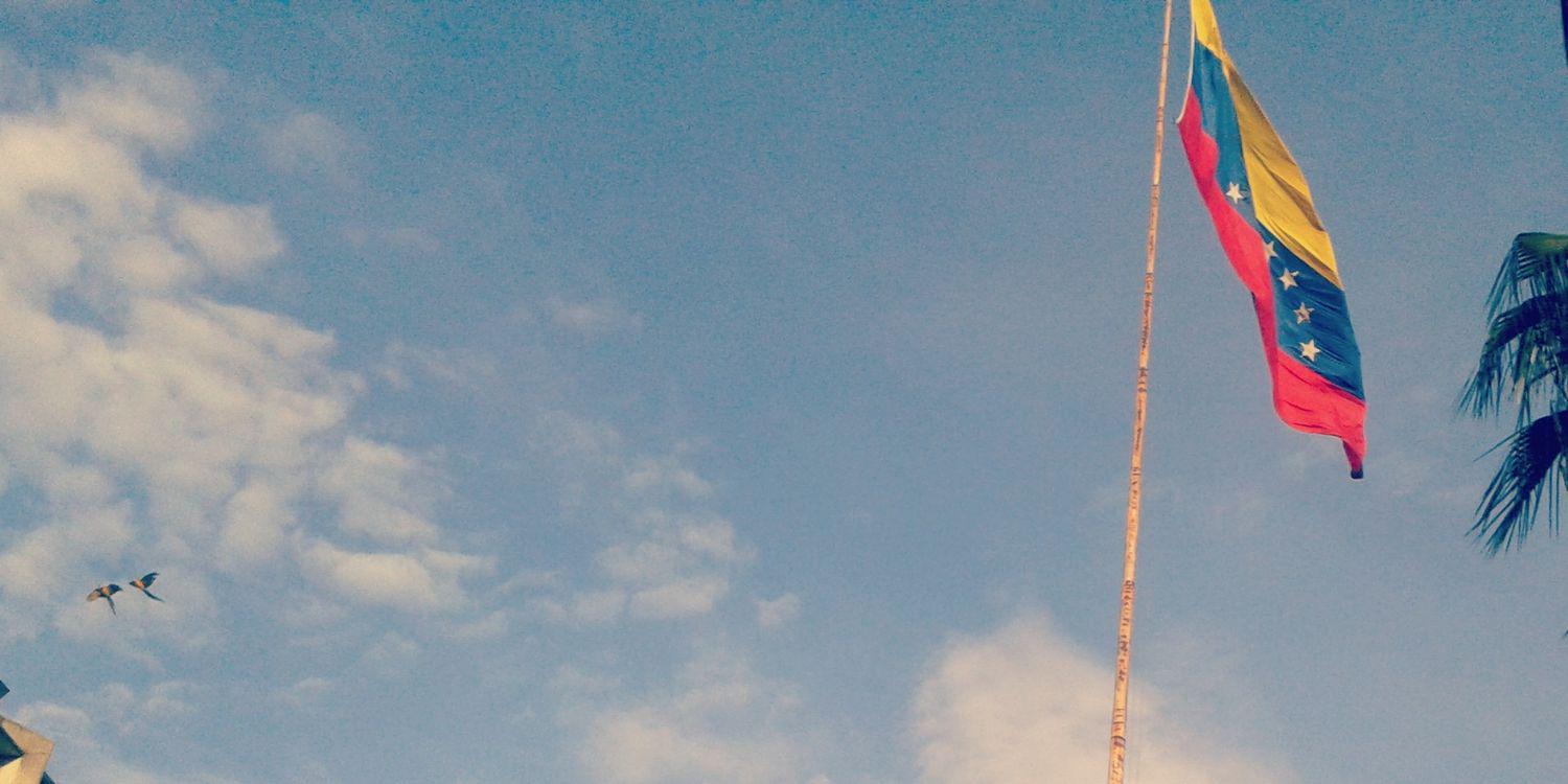 AnaG_AM's profile banner image