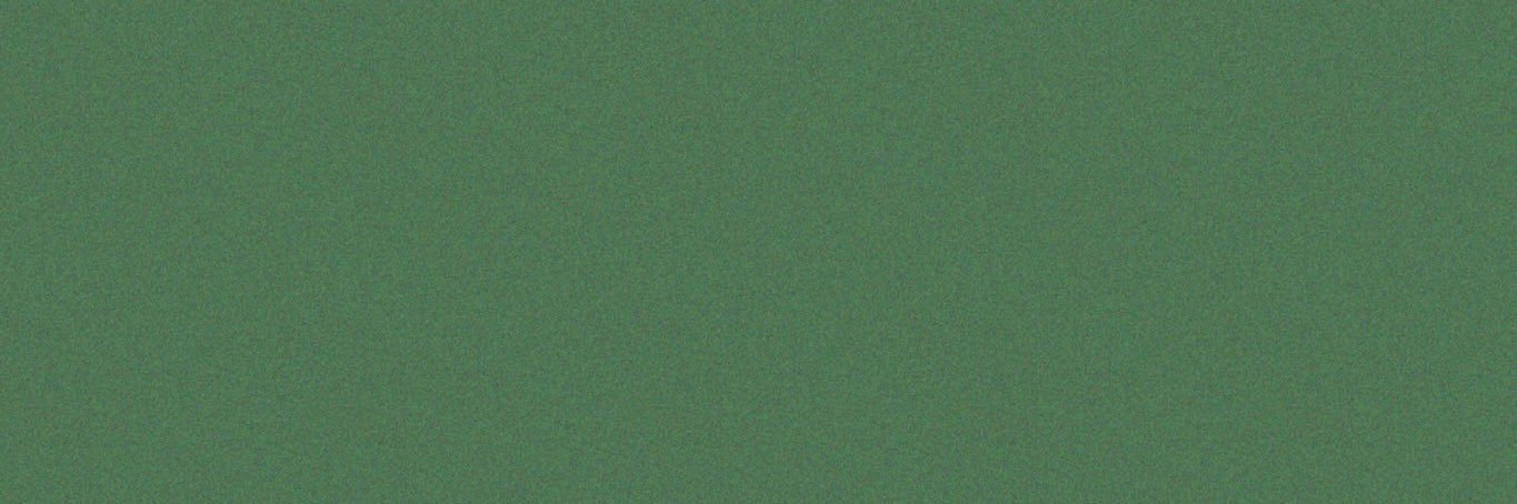 🕊️Midori banner