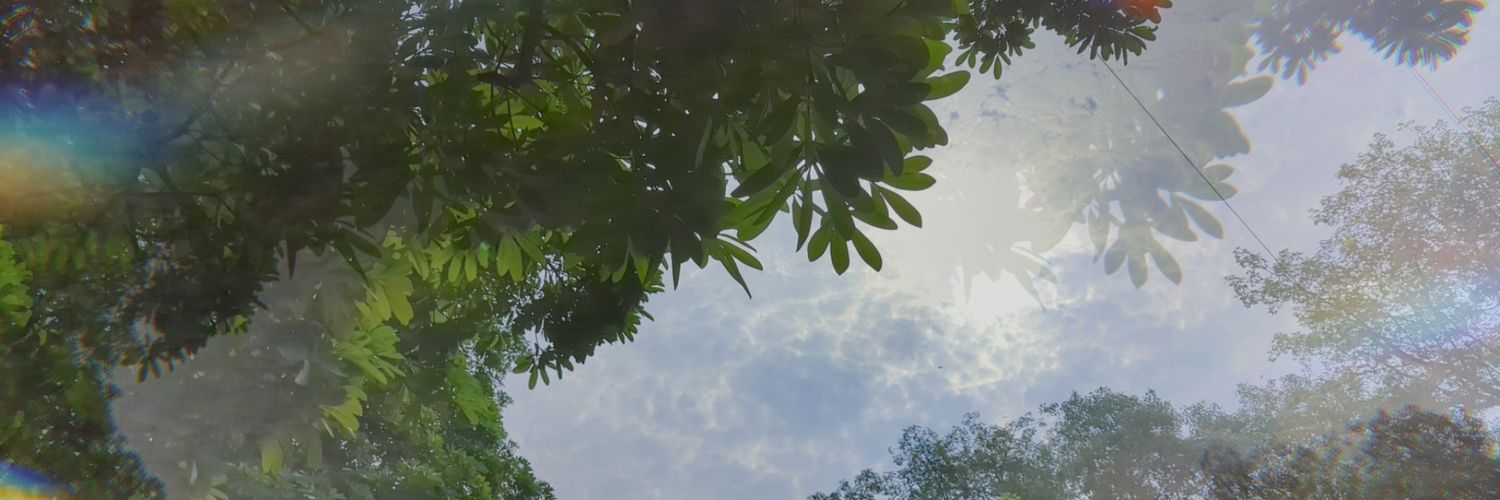 TozoSaha's profile banner image