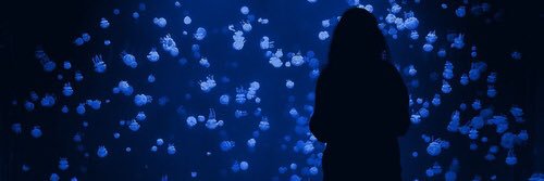 karoliamuhammad's profile banner image