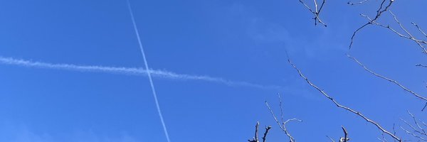 L08337139 Profile Banner