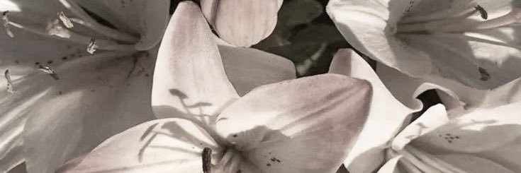 ؘ banner