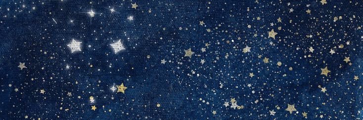 Momo🦊🧸.˚✮TASTE.⋆˚ banner