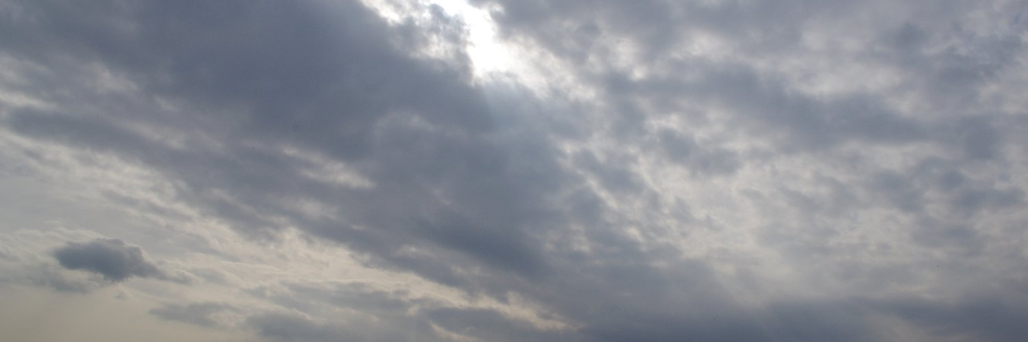 真白 banner