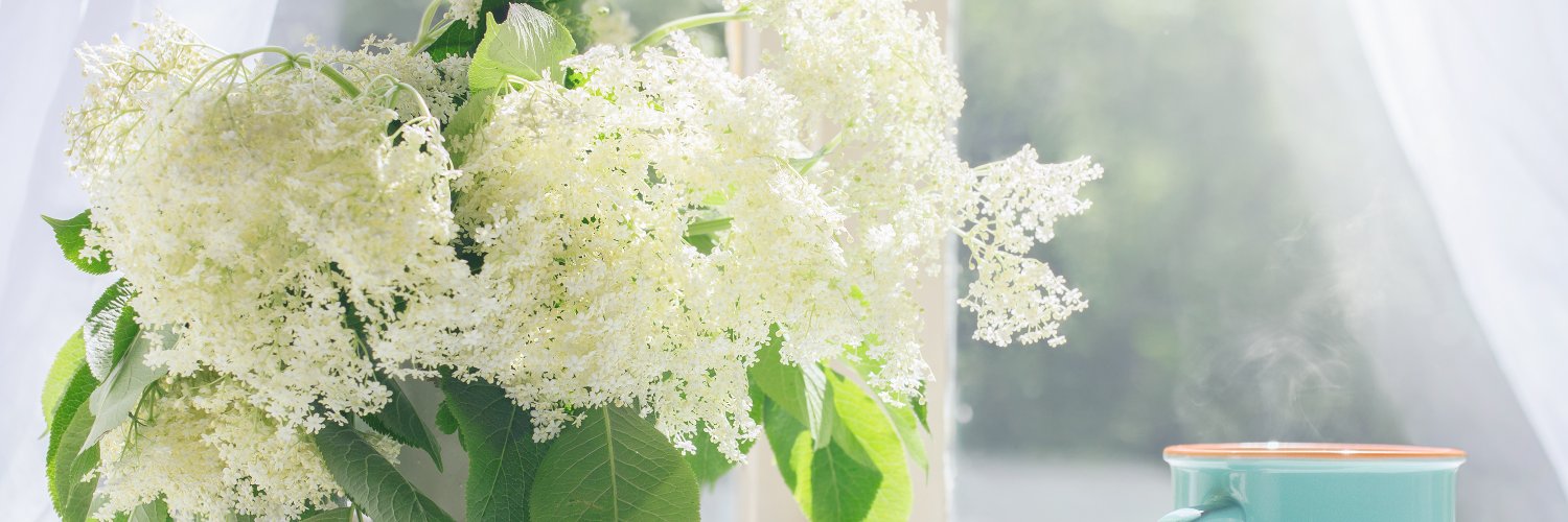 ExecutiveCounselling.com banner