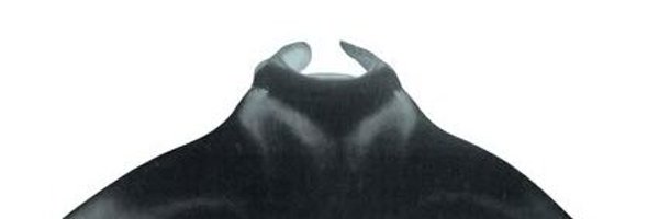 _narbam_ Profile Banner