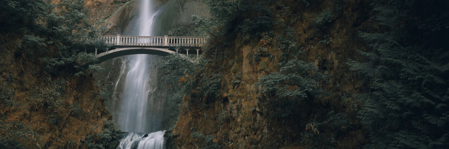 AFPOregon's profile banner image