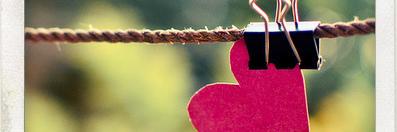elimay's profile banner image