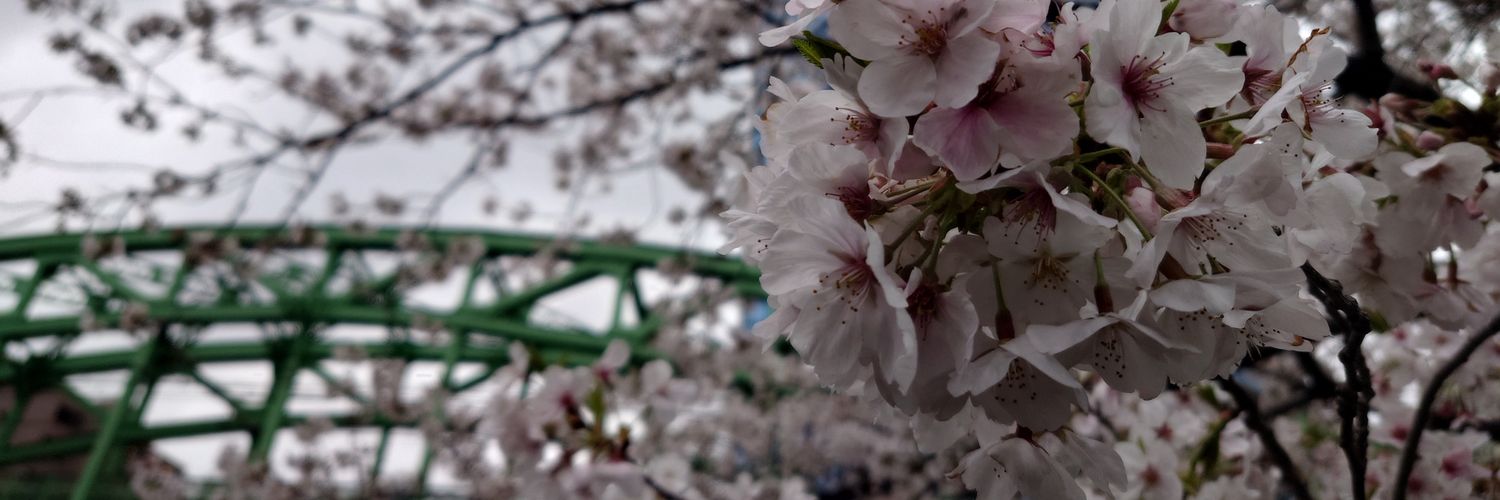 にゅーらぴ banner