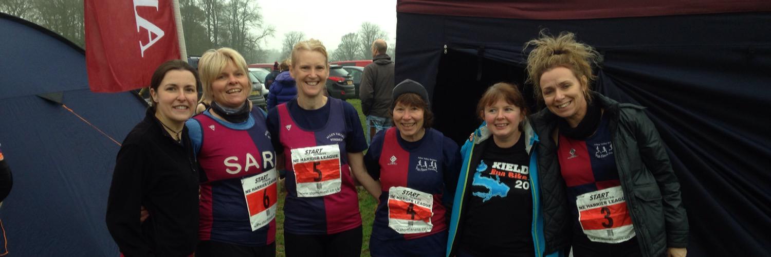 AllenValleyStrider banner